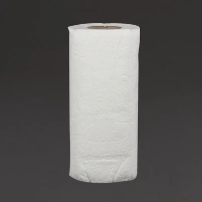 Essuie-tout blanc 2 plis Jantex 11,5m (lot de 24)